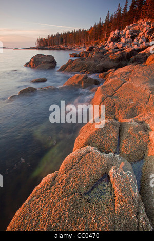 Sulla costa dell'Schoodic Peninsula, Parco Nazionale di Acadia, Maine, Stati Uniti d'America Foto Stock