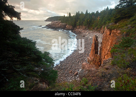 Guglia di roccia in un monumento insenatura nel parco nazionale di Acadia, Maine, Stati Uniti d'America Foto Stock