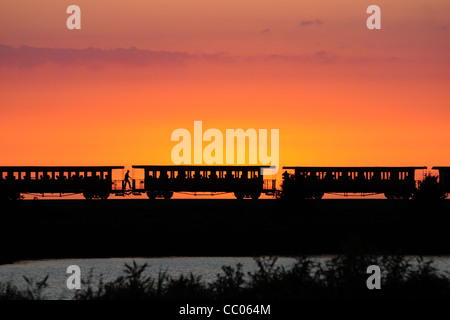 Cena gourmet in un treno a vapore al tramonto, baia di Somme, SOMME (80), Francia Foto Stock