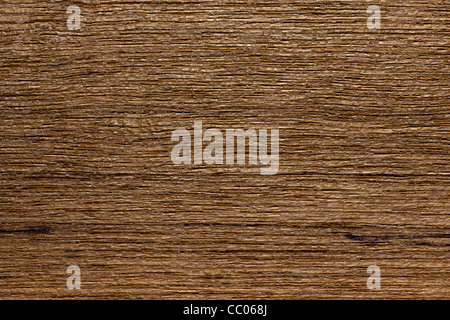 A grana di legno di teak (Tectona grandis), Asia Foto Stock