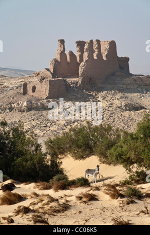 Colpo verticale della fortezza romana e insediamento di asino in primo piano a Qasr el Labekha nel deserto vicino Kharga Oasis Egitto Foto Stock