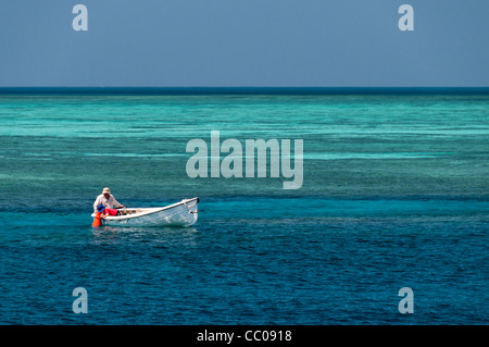 Un uomo e suo figlio esplorare i coralli da un piccolo gommone su Swains Reef sulla Grande Barriera Corallina. Il piccolo ragazzo è utilizzando un visualizzatore di subacquea oltre il lato della barca per vedere chiaramente sotto l'acqua dall'alto. L'area verde dietro di loro è l'acqua poco profonda del reef. Il blu dell'acqua più vicino alla fotocamera è acqua profonda. Foto Stock