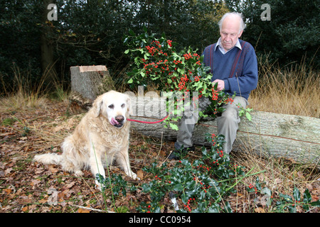 Uomo di agrifoglio di raccolta per il Natale in un legno Foto Stock