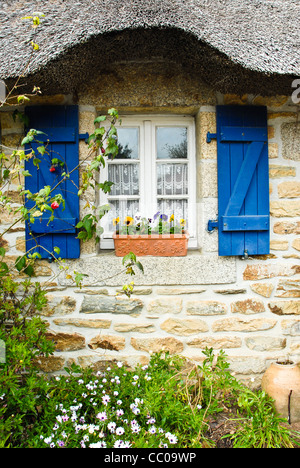 Tipici cottage con tetto in paglia in Bretagna Francia, close up piuttosto finestra con ricoprendo di paglia, persiane blu, window box con pansies Foto Stock