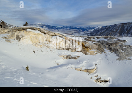 Il Cupido molla nella neve. Mammoth Hot Springs, il Parco Nazionale di Yellowstone, Wyoming negli Stati Uniti. Foto Stock