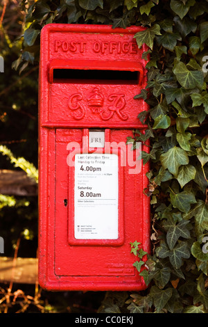 George VI postbox di edera. Foto Stock