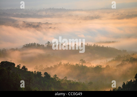 Nebbia di mattina al Tropical Mountain Range, Malaysia Foto Stock