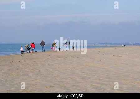 Dog walkers sul West Wittering Beach, a novembre. Foto Stock