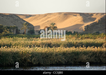 Waterside paesaggi tra Aswan e Luxor al fiume Nilo in Egitto (Africa) Foto Stock