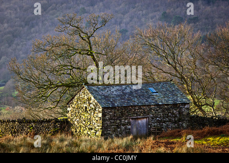 Un lone Granaio sorge in un angolo di un campo nella Duddon Valley nel Lake District inglese. Foto Stock