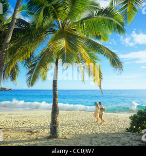 Matura per passeggiare sulla spiaggia con Palm tree, mare, Mahe Island, Seicelle Foto Stock