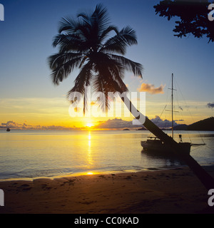 Palm tree al tramonto, mare, ormeggiata in barca a vela, Mahe Island, Seicelle Foto Stock