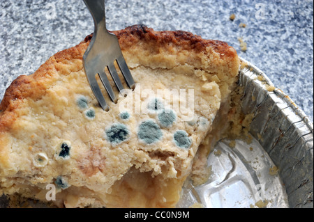 La torta di mele con zone di stampo batteri che crescono sulla sua crosta ri cottura IGIENE ALIMENTARE Cibo malattia PRESERATIVES vendere per date, Regno Unito Foto Stock