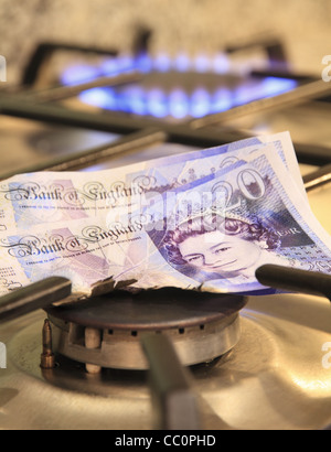 Carbonizzati parzialmente bruciato venti pound £ 20 fatture note su un fornello a gas fuochi. Foto Stock