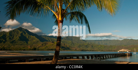 Vista da sotto la palma del molo a Hanalei Bay, Kauai, Hawaii Foto Stock
