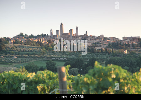 La città sulla collina di San Gimignano con vitigni in primo piano, Toscana, Italia. Foto Stock
