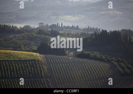 I vigneti e Misty Hills vicino a San Gimignano Foto Stock