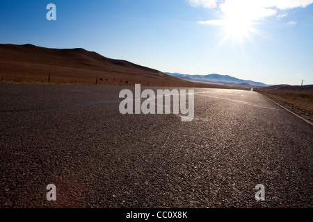 Un allevamento di cavalli in esecuzione in Mongolia interna Foto Stock