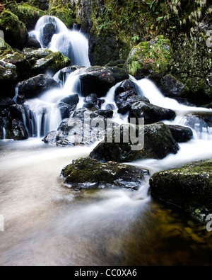 Lodore Falls, Lake District Foto Stock