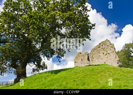 Thirlwall castello nei pressi del villaggio di Greenhead e il Parco nazionale di Northumberland, Inghilterra Foto Stock