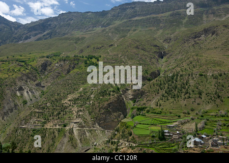 Villaggio di Cheling su un ripido pendio terrazzato che conduce al Bhaga River Valley, Leh-Manali autostrada, Himachal Pradesh, India Foto Stock