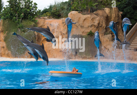 Loro Parque Tenerife del primo wildlife zoo attrazione. Spettacolo di Delfini montage. Bambina prende in barca soddisfa i delfini vedi DESCR Foto Stock