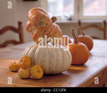 Ancora zucca Foto Stock