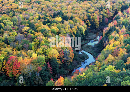 La carpa del fiume e la tettoia di autunno di Ottawa National Forest e Porcupine montagne del Parco Statale nella Penisola Superiore del Michigan.. Foto Stock