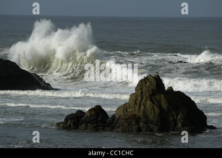 Pacifico scena costiere nei pressi di Bandon, Oregon, Stati Uniti d'America Foto Stock