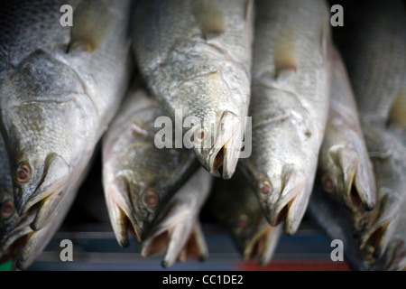 Il pesce in vendita presso il Mercato Ben Thanh, Ho Chi Minh City (ex Saigon), Vietnam Foto Stock