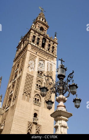 La torre Giralda e la Cattedrale di Siviglia Spagna Foto Stock