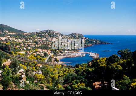 Vista aerea del Le Trayas nell'Esterel con le mimose blossom flower Foto Stock