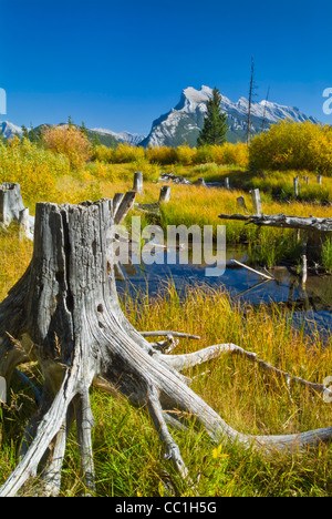 Mount Rundle affacciato su Banff township visto dalla riva di Laghi Vermillion Fenland trail Canadian Rockies Alberta Canada Foto Stock