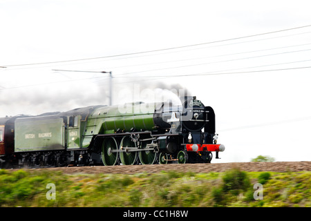 'Tornado' sulla costa est Mainline "cattedrali Express' run, maggio 2009. Foto Stock