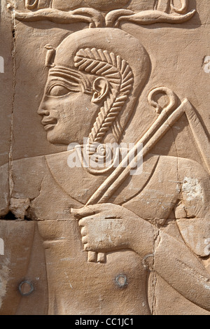 Lavoro di soccorso al Tempio Romano di Deir el-Hagar, Dakhla Oasis, deserto occidentale d'Egitto Foto Stock