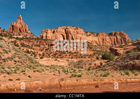 Gli escursionisti sul sentiero di Keet Seel rovine, Keet Seel Canyon di scheletro Mesa, Navajo National Monument, Shonto altopiano, Arizona, Stati Uniti d'America Foto Stock