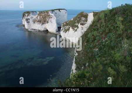 Old Harry Rocks. Massive chalk pile in piedi appena fuori le vertiginose scogliere calcaree della costa Purbeck. Il Dorset, Inghilterra, Regno Unito. Foto Stock