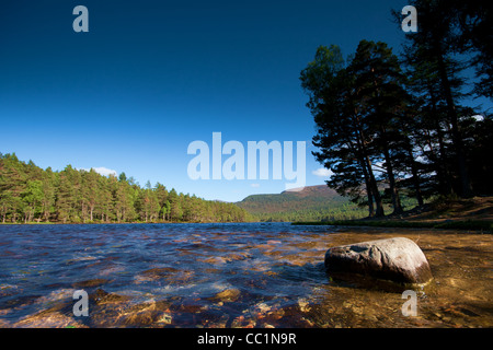 Loch un Eilein in Rothiemurchus vicino a Aviemore in Scozia Foto Stock