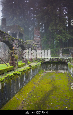 Stati Uniti, California, Sonoma Wine Country, Glen Ellen, Jack London State Historical Park, ex tenuta di scrittore Jack London Foto Stock