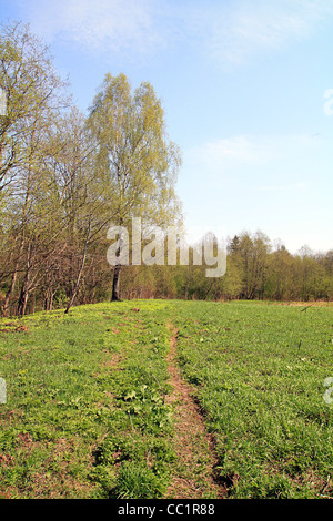 Lane del campo Foto Stock