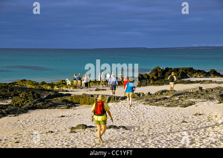 I turisti a piedi su Las Bachas Beach, Isola di Santa Cruz, Isole Galapagos, Ecuador Foto Stock