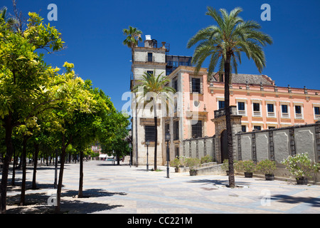 Villavicencio palazzo di Alcazar in Jerez de la Frontera, Spagna Foto Stock