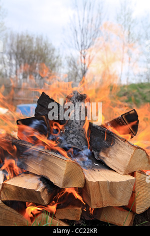 Burninging legna da ardere in fuochi Foto Stock