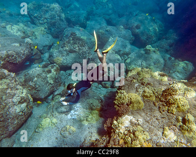 Lo snorkeling in acque di Lanai, Hawaii, Stati Uniti d'America. Foto Stock