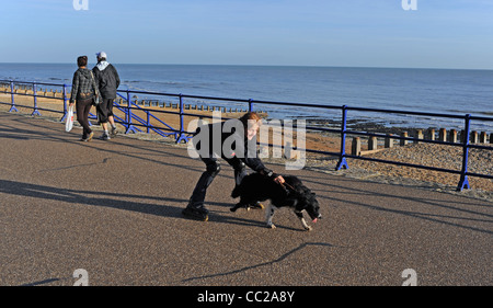 Questa signora ha un modo nuovo di roller come il suo cane tira il suo lungo il lungomare di Eastbourne 2012 Foto Stock