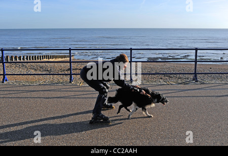 Questa signora ha un modo nuovo di roller come il suo cane tira il suo lungo il lungomare di Eastbourne 2012 Foto Stock