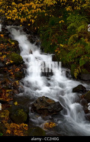 Di seguito Stream Wahkeena cade nella Columbia River Gorge Foto Stock