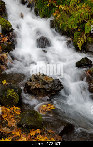 Di seguito Stream Wahkeena cade nella Columbia River Gorge Foto Stock