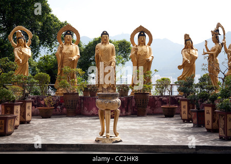 Golden Statue di Buddha femmina con vista Hong Kong il Monastero dei Diecimila Buddha - uomo grasso Tsz - tempio buddista in Sha Tin Foto Stock