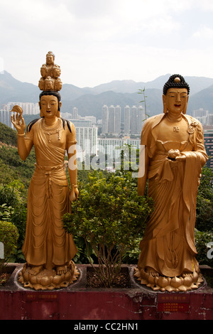 Golden Statue di Buddha femmina con vista Hong Kong il Monastero dei Diecimila Buddha - uomo grasso Tsz - tempio buddista in Sha Tin Foto Stock